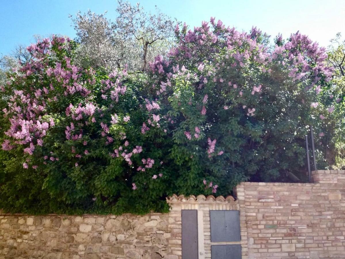 Lavanda E Rosmarino Home أسيسي المظهر الخارجي الصورة